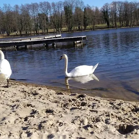 Szary Nad Jeziorem Дом отдыха