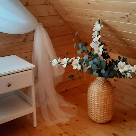 Дом отдыха Szary Nad Jeziorem Колчево