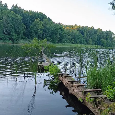 Дом отдыха Szary Nad Jeziorem *