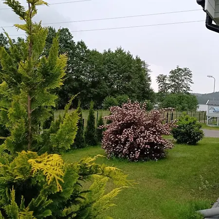 Szary Nad Jeziorem *