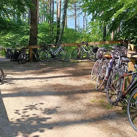 Szary Sea & Kołczewo