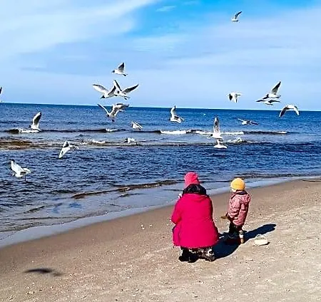 Szary Nad Jeziorem Sea & Kołczewo