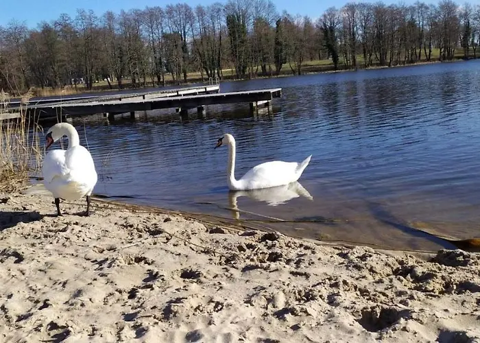 Szary Sea & Hébergement de vacances