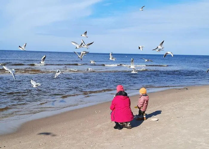 Szary Sea & Дом отдыха *