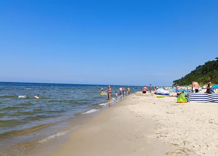 Szary Sea & * Колчево