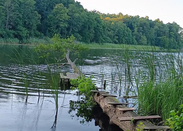 Дом отдыха Szary Sea & *