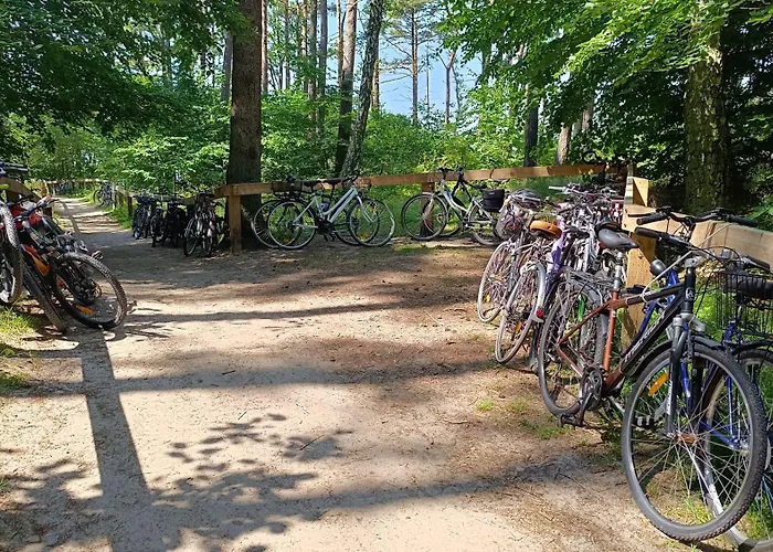 Szary Sea & Kołczewo